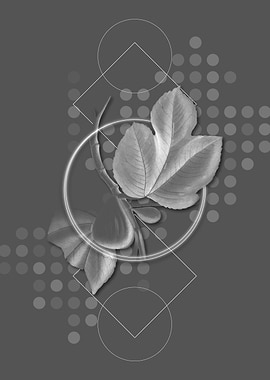 Gray Geometric Fig Fruit