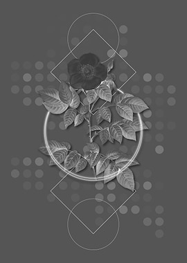 Gray Geometric Rose Flower