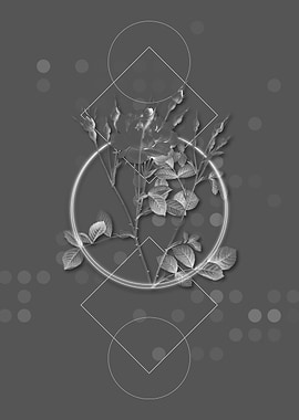 Gray Geometric Rose Flower