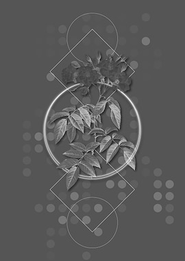 Gray Vintage Rose Flower