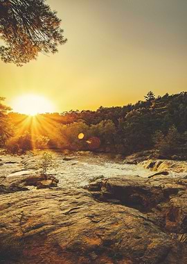 sunrise sun stone tree