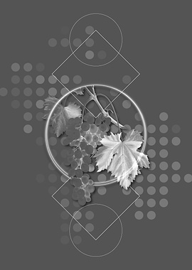 Moody Geometric Grapes