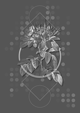 Gray Vintage Rose Flower