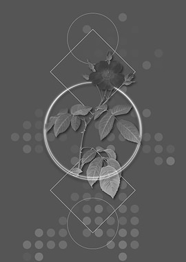 Gray Geometric Rose Flower