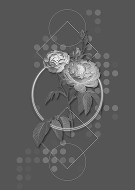 Gray Vintage Rose Flower