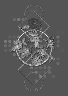 Gray Vintage Rose Flowers