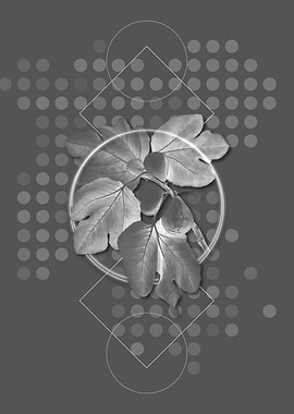 Gray Geometric Fig Fruit
