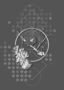 Gray Geometric Grape Fruit