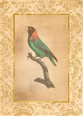 Vintage Parrot