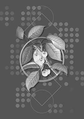 Moody Geometric Cherry