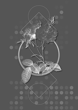 Gray Geometric Rose Flower