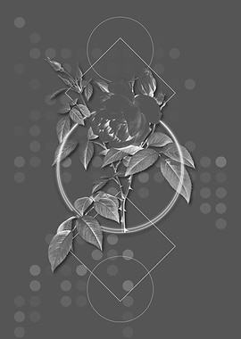 Gray Geometric Rose Flower
