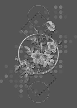 Gray Geometric Rose Flower
