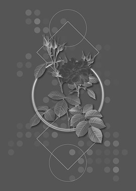 Gray Geometric Rose Flower