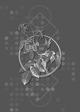 Gray Geometric Rose Flower