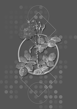 Gray Geometric Rose Flower