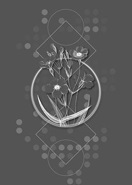 Viscaria Flower Branch