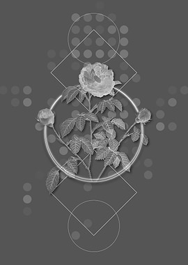 Gray Geometric Agatha Rose