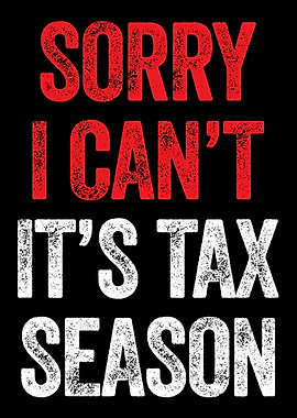 Tax Season Accountant CPA