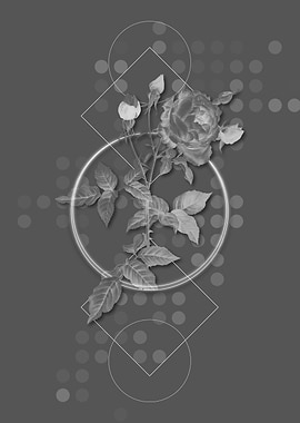 Gray Vintage Rose Flower