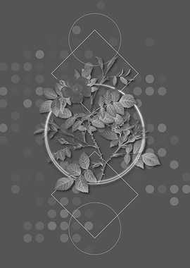 Gray Vintage Rose Flower