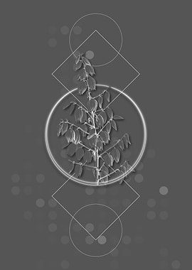 Geometric Adams Needle