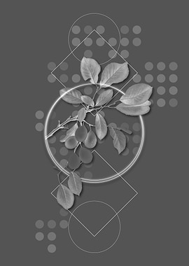 Gray Geometric Cherry