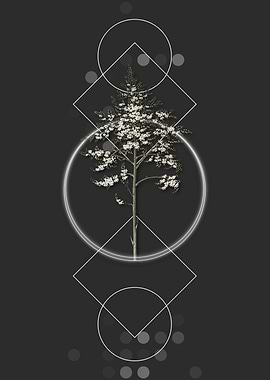 Geometric Giant Cabuya