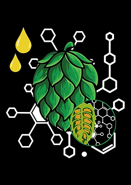 Home Brewing Craft Beer