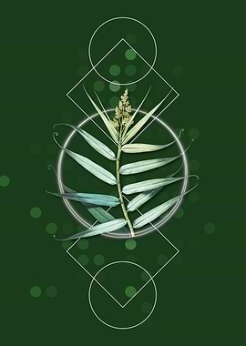 Geometric Bush Cane Floral