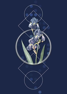 Geometric Dalmatian Iris