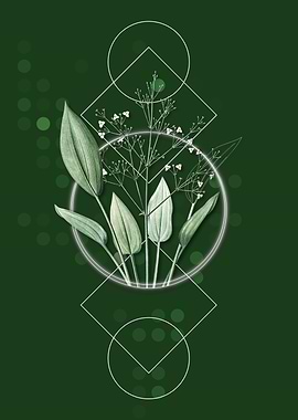 Geometric Water Plantain