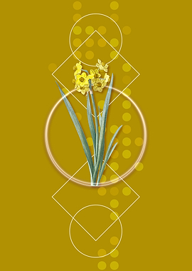Geometric Daffodil Flower