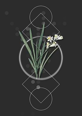 Vintage Gladiolus Flowers