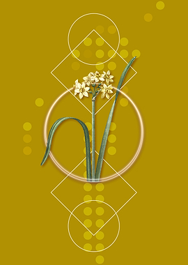 Geometric Daffodil Flower
