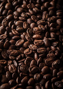 coffee beans 6