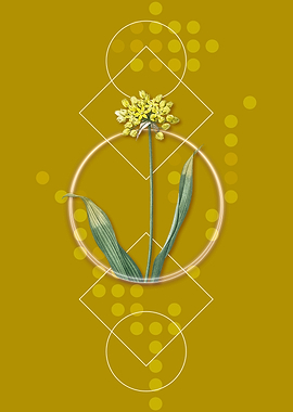 Geometric Golden Garlic