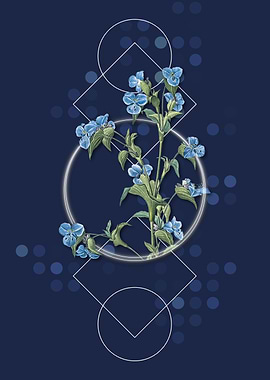 Vintage Commelina Tuberosa