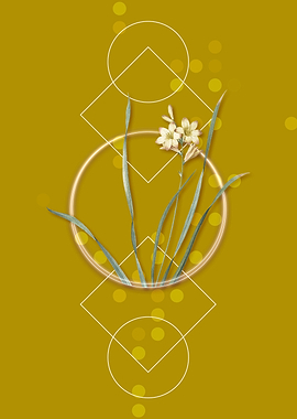 Vintage Gladiolus Flowers