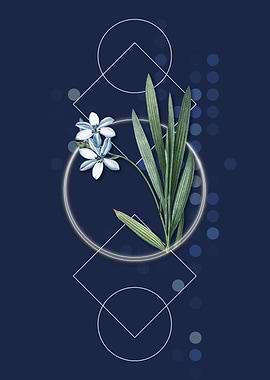 Vintage Gladiolus Flowers