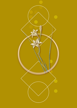 Vintage Gladiolus Flowers