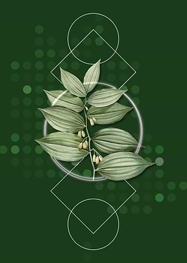 Vintage King Solomons Seal