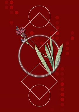 Vintage Gladiolus Flowers