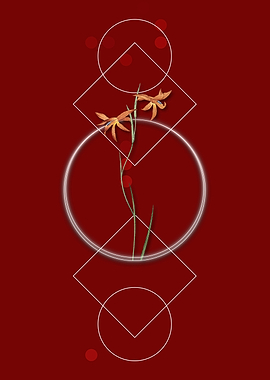 Vintage Gladiolus Flowers