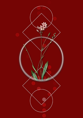 Vintage Gladiolus Flowers