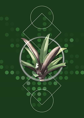 Vintage Boat Lily Painting