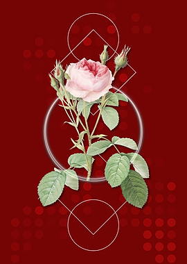 Geometric Double Moss Rose