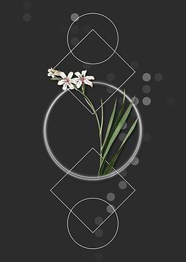 Geometric Gladiolus Flower