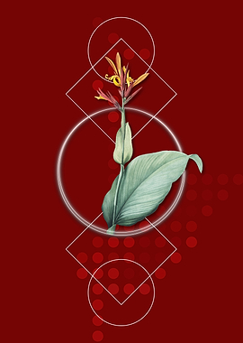 Geometric Red Indian Shot