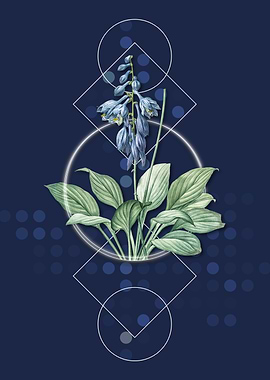 Geometric Daylily Flower